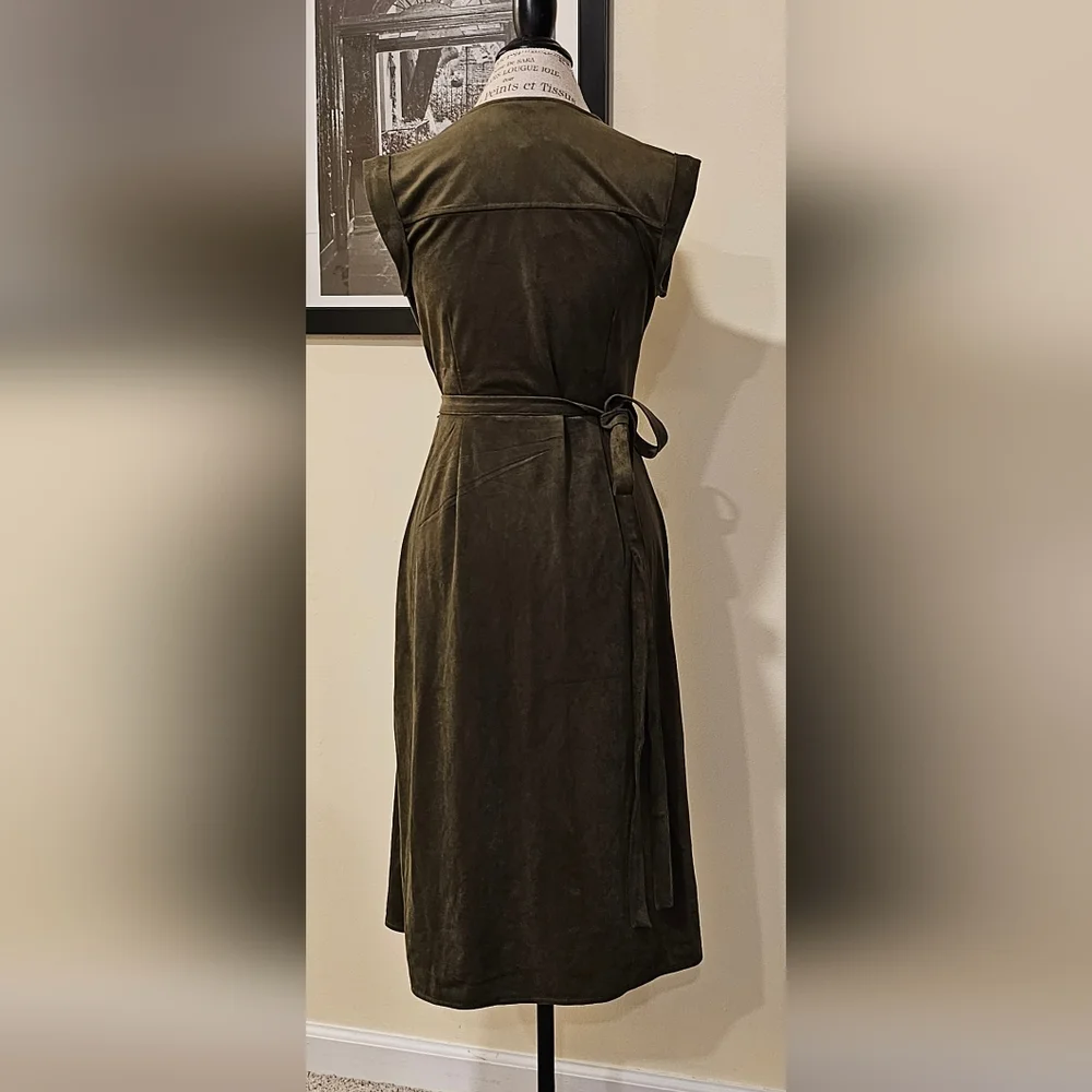 NWT Banana Republic sz 6P green dress - Picture 2 of 14